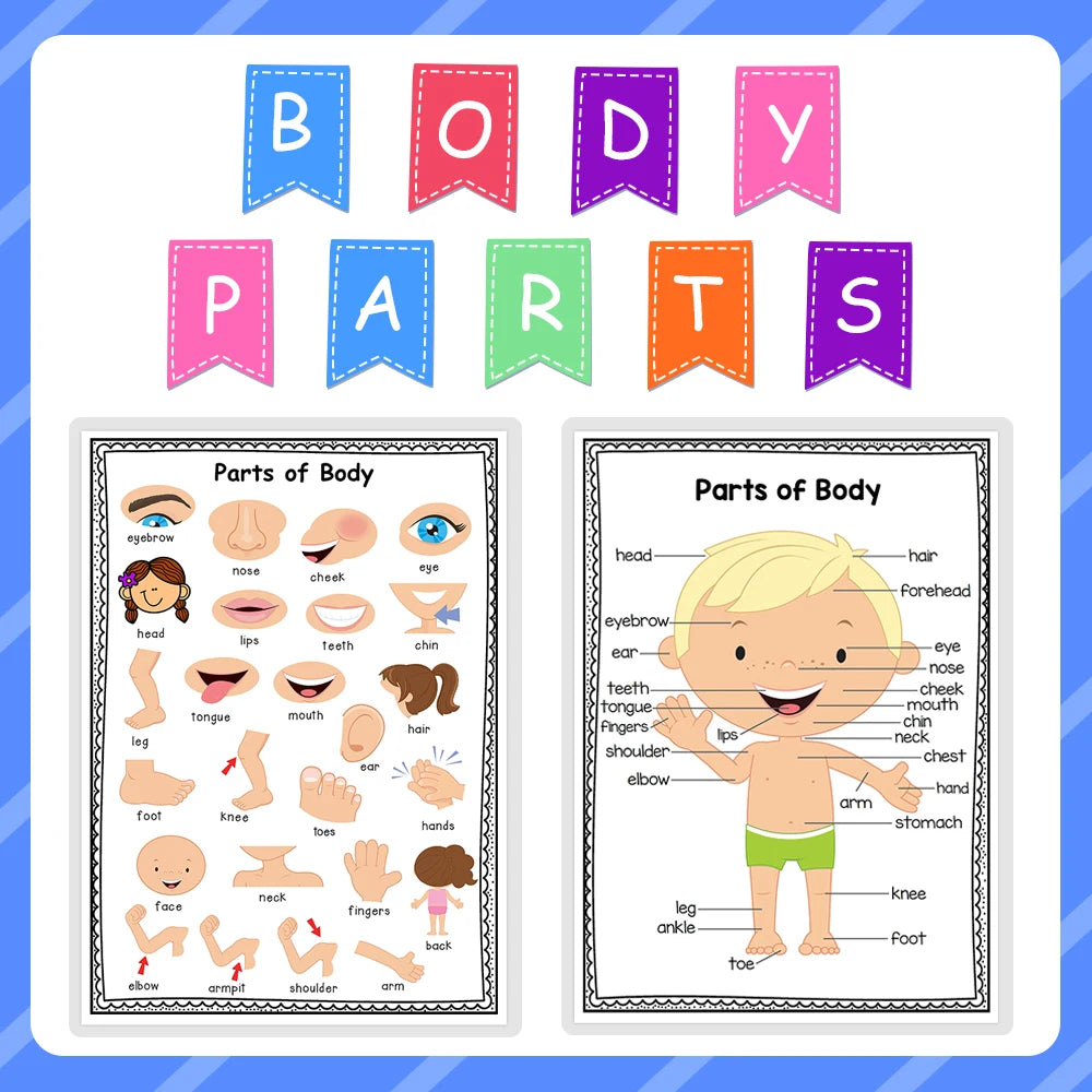 English Self-introduction Poster English Teaching Aids Classroom Decoration Educational Toys Learning Flashcard Montessori Toy - LearnPlay Labs