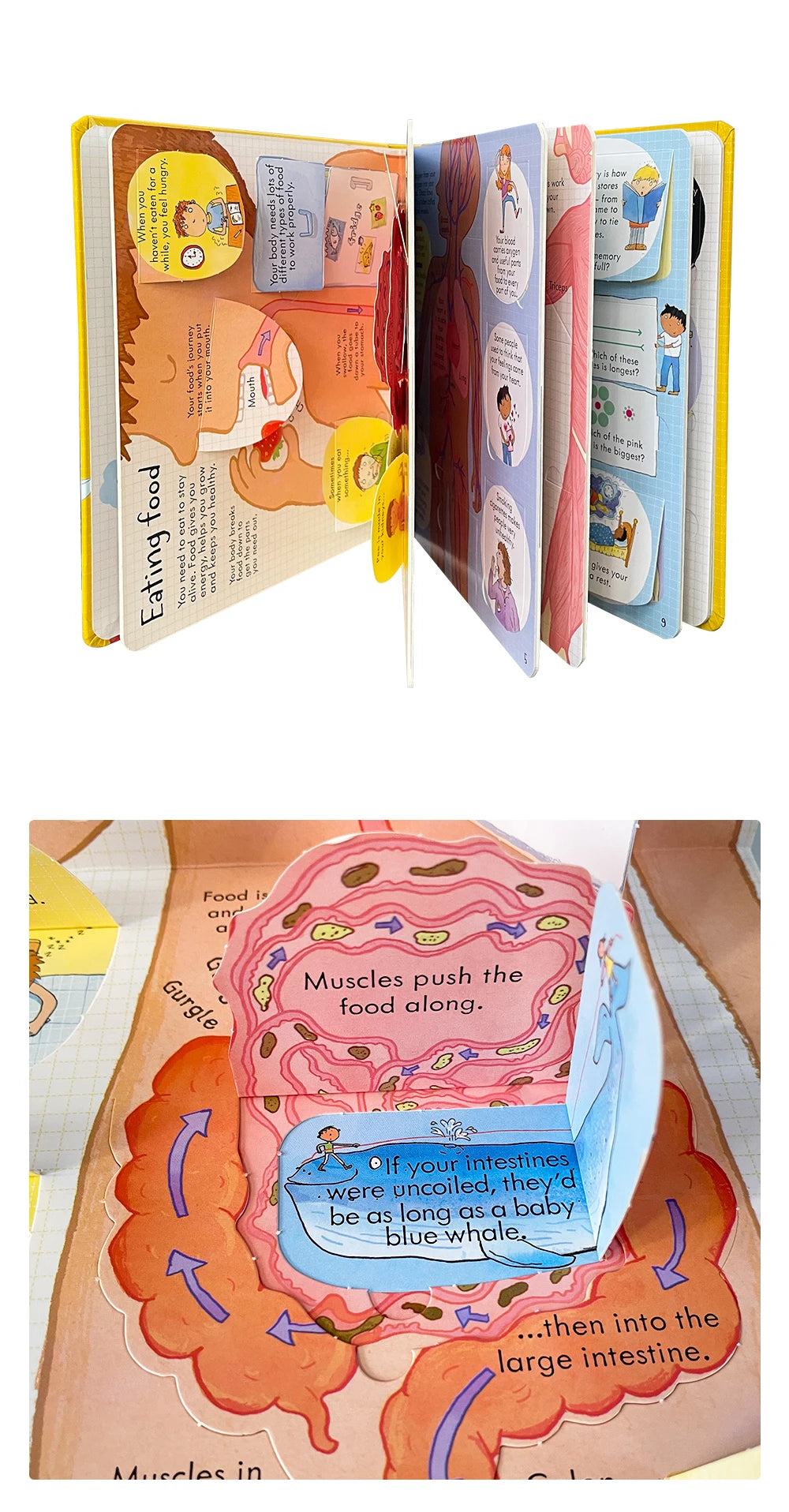 Usborne Books Look Inside English Cardboard Book for Kids Learning Toys Bedtime Reading Activity Gifts Montessori Materials - LearnPlay Labs