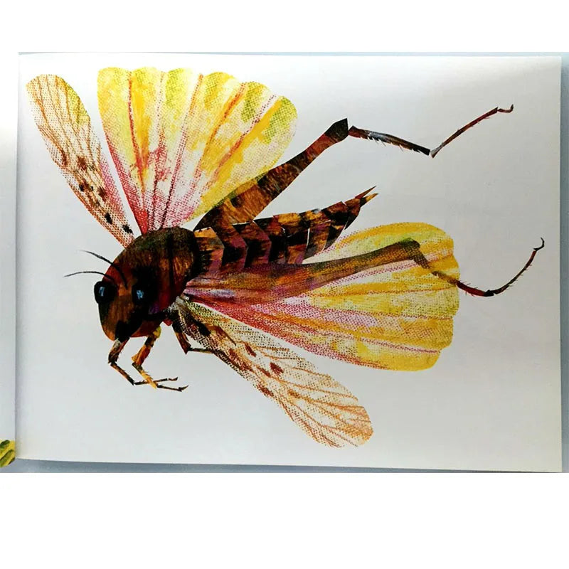 The Very Quiet Cricket By Eric Carle Educational English Picture Book Learning Card Story Book For Baby Kids Children Gifts - LearnPlay Labs