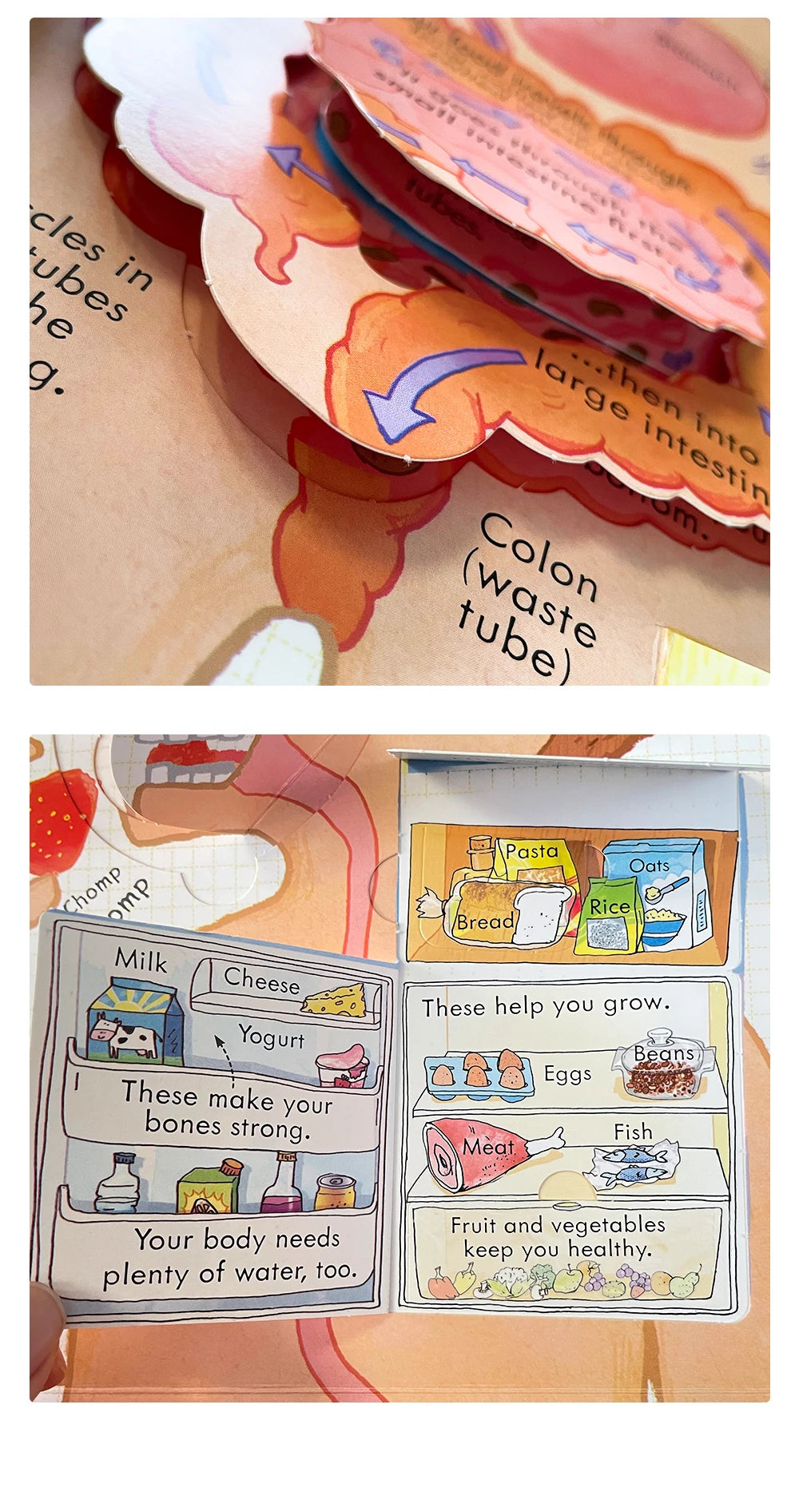 Usborne Books Look Inside English Cardboard Book for Kids Learning Toys Bedtime Reading Activity Gifts Montessori Materials - LearnPlay Labs