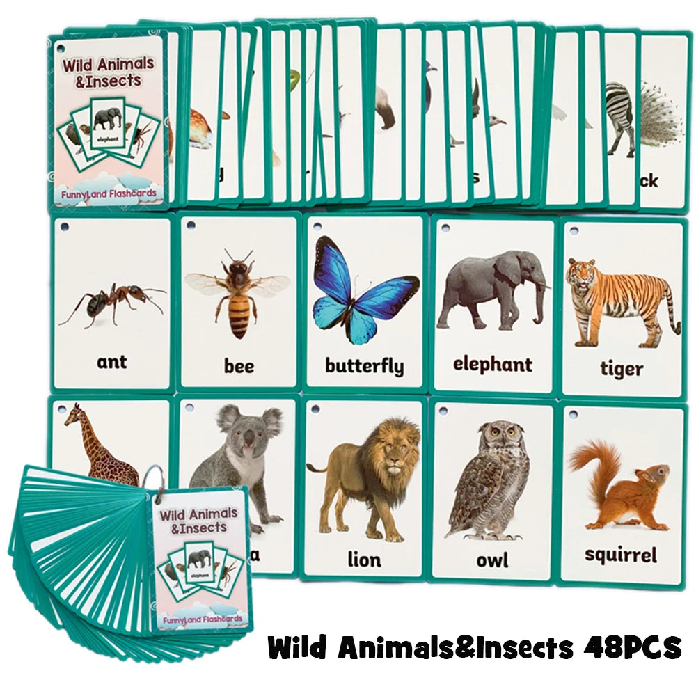 Body Parts Animal Cloth English Words Learing Flash Cards Educational Toys for Kids Early Educational Montessori Teaching Aids - LearnPlay Labs