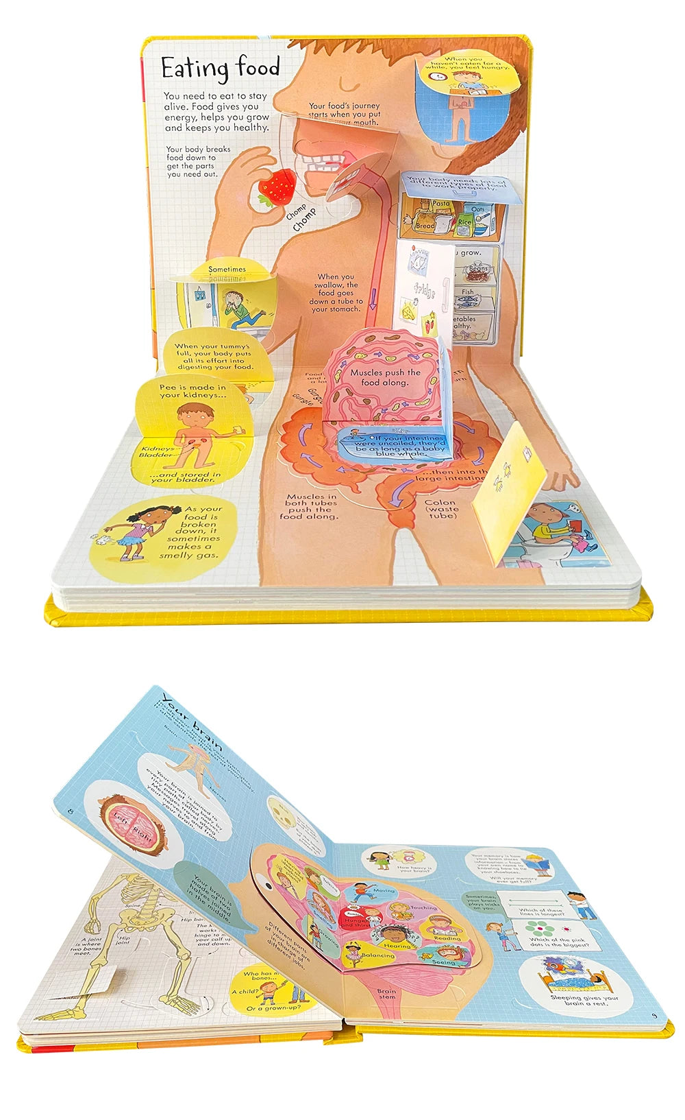 Usborne Books Look Inside English Cardboard Book for Kids Learning Toys Bedtime Reading Activity Gifts Montessori Materials - LearnPlay Labs