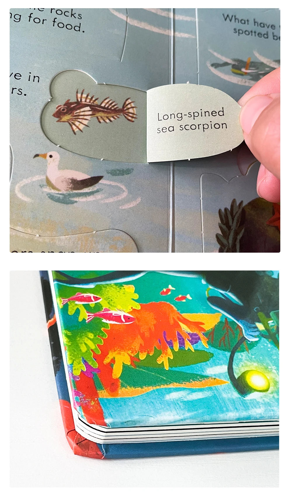 Usborne Books Look Inside English Cardboard Book for Kids Learning Toys Bedtime Reading Activity Gifts Montessori Materials - LearnPlay Labs