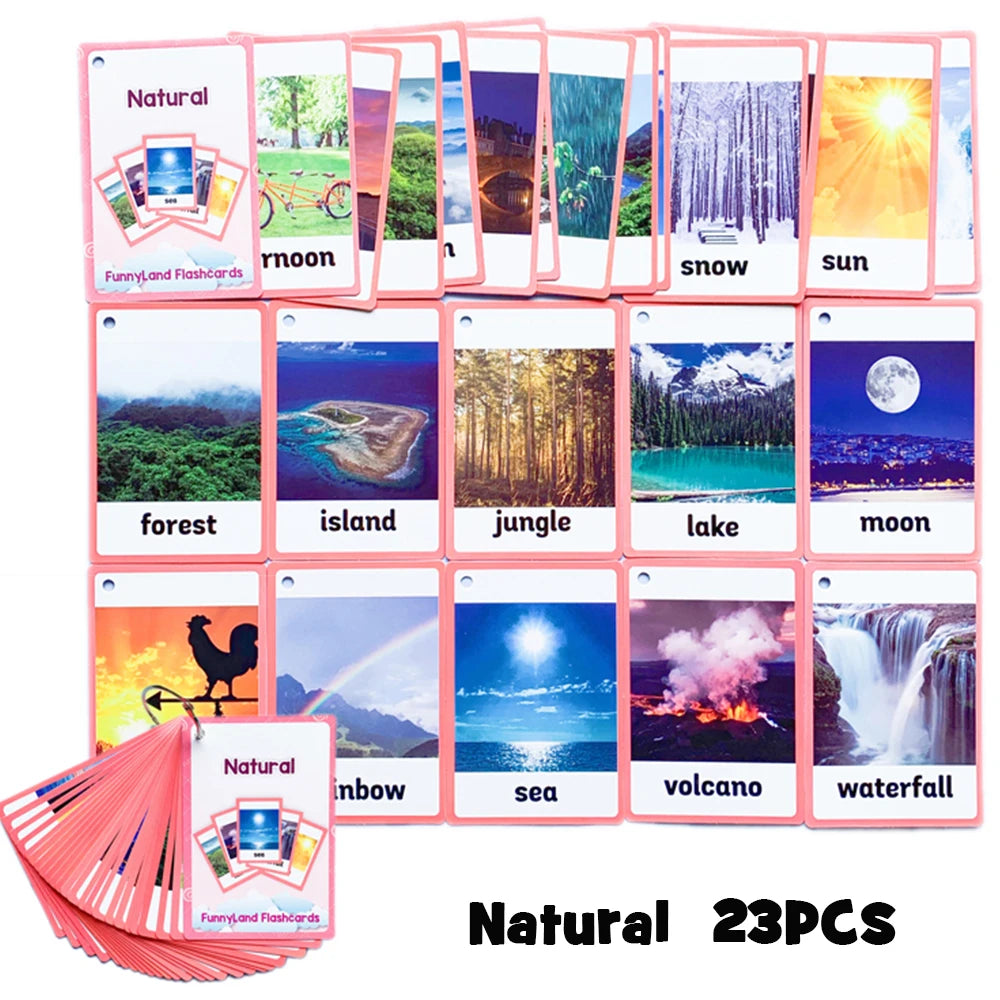 Body Parts Animal Cloth English Words Learing Flash Cards Educational Toys for Kids Early Educational Montessori Teaching Aids - LearnPlay Labs
