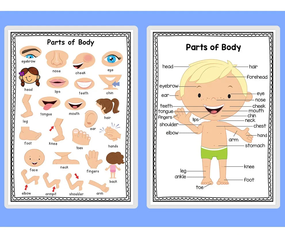 English Self-introduction Poster English Teaching Aids Classroom Decoration Educational Toys Learning Flashcard Montessori Toy - LearnPlay Labs