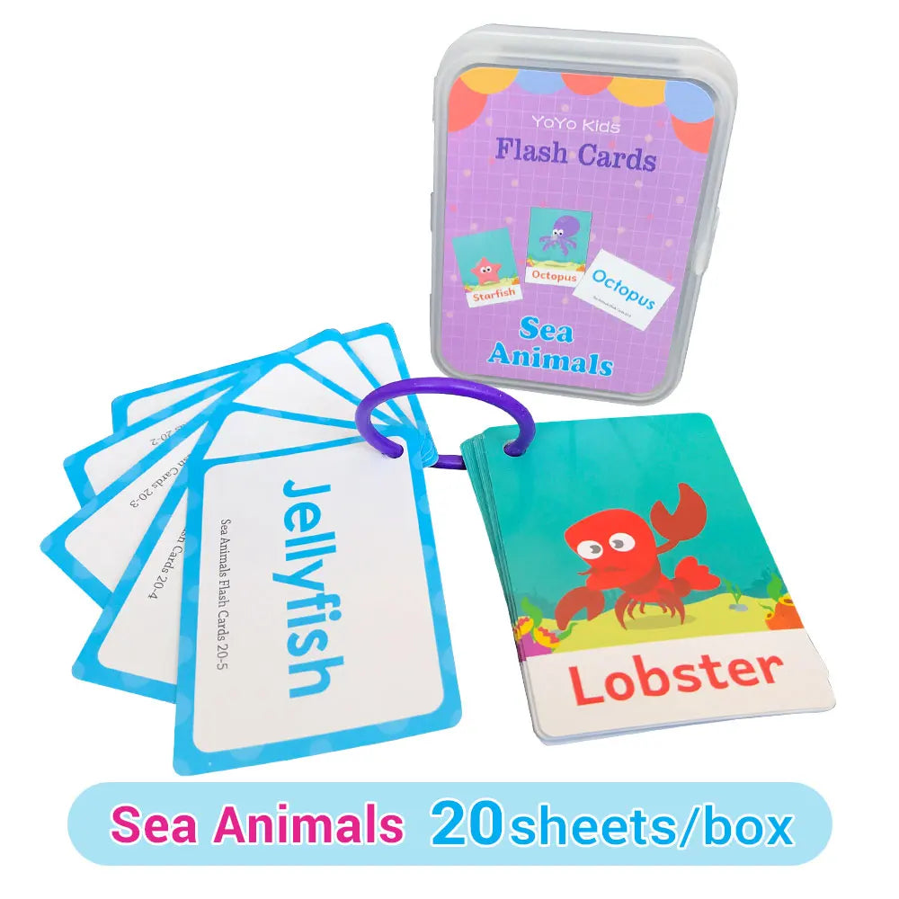 Learning Flashcards ABC Numbers Fruit Animal Body Educational Toys Classroom Aids Montessori Autism English Words Card for Kids - LearnPlay Labs