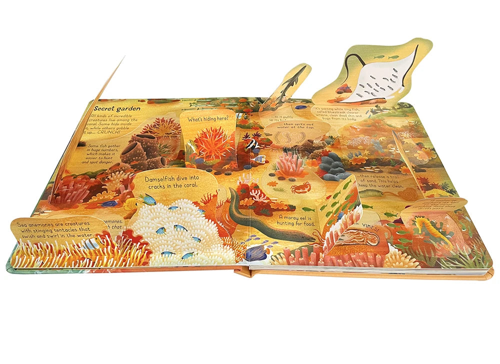 Usborne Books Look Inside English Cardboard Book for Kids Learning Toys Bedtime Reading Activity Gifts Montessori Materials