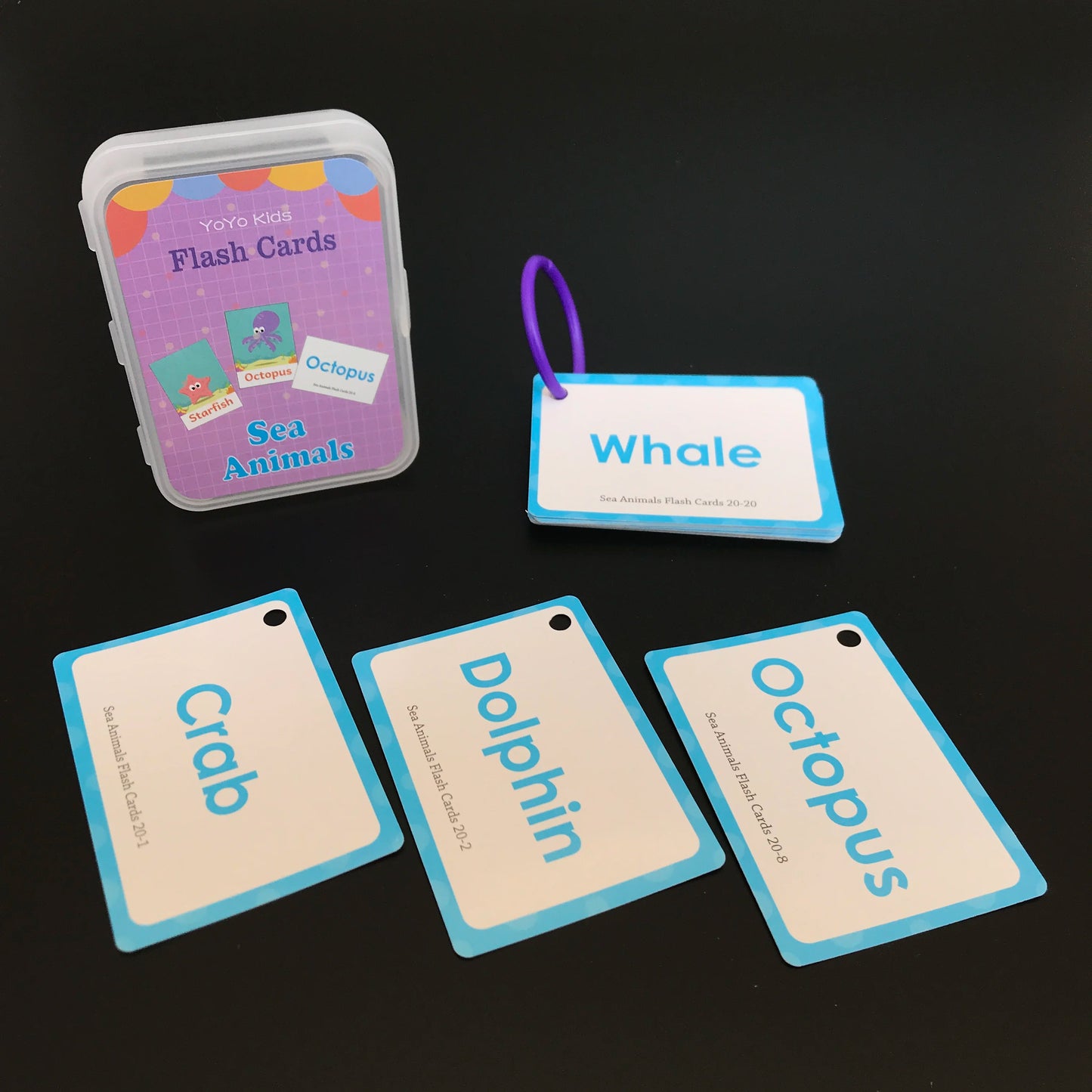 Learning Flashcards ABC Numbers Fruit Animal Body Educational Toys Classroom Aids Montessori Autism English Words Card for Kids - LearnPlay Labs