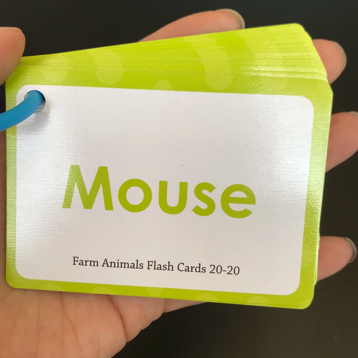 Learning Flashcards ABC Numbers Fruit Animal Body Educational Toys Classroom Aids Montessori Autism English Words Card for Kids - LearnPlay Labs