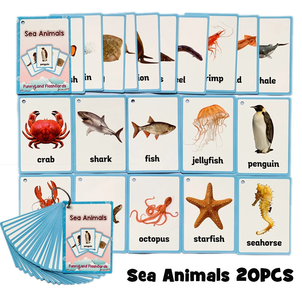 Body Parts Animal Cloth English Words Learing Flash Cards Educational Toys for Kids Early Educational Montessori Teaching Aids - LearnPlay Labs