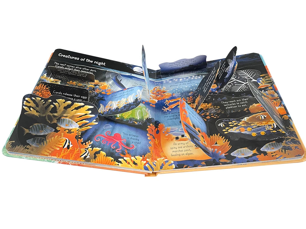 Usborne Books Look Inside English Cardboard Book for Kids Learning Toys Bedtime Reading Activity Gifts Montessori Materials