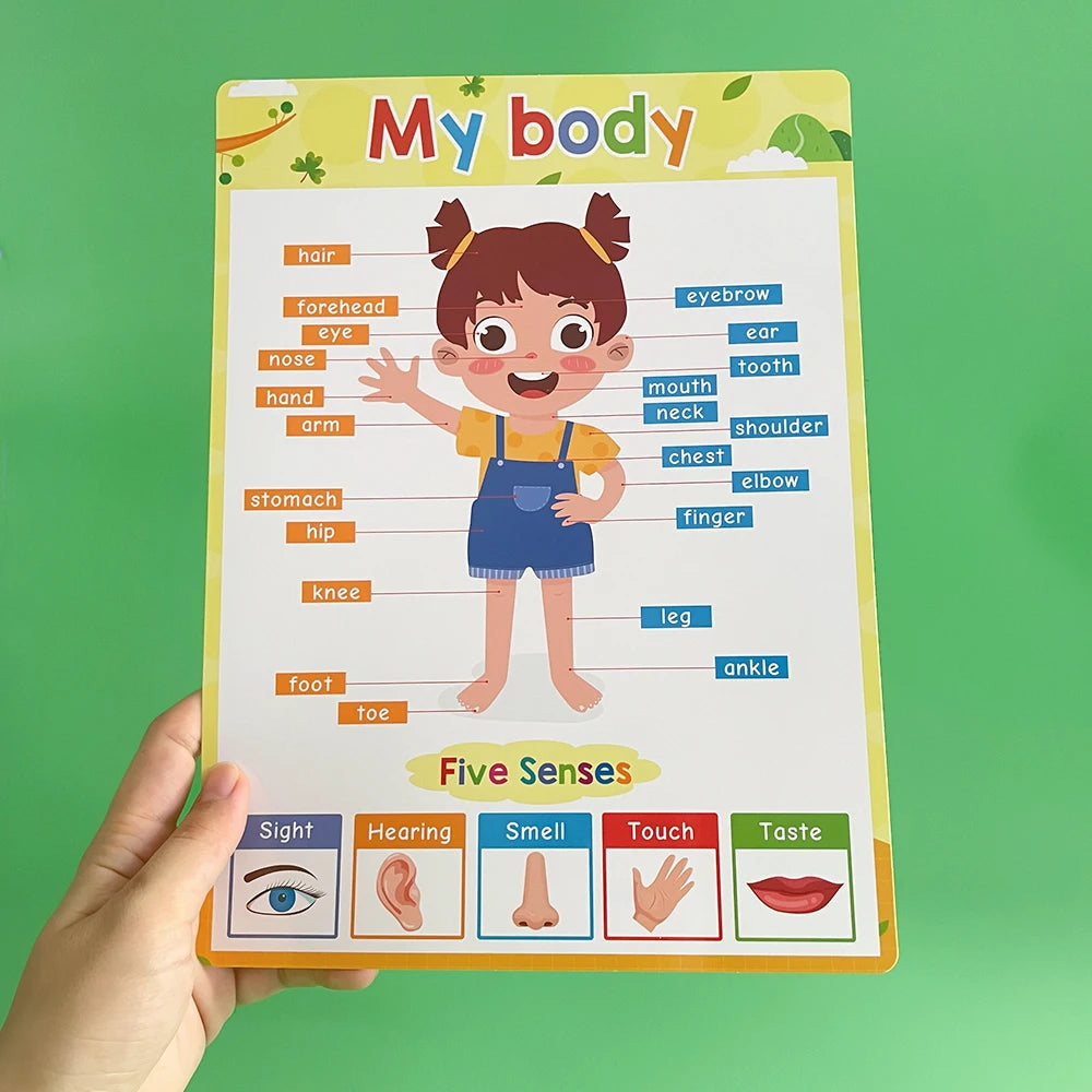 English Learning Poster Set Words Flashcards Educational Toys for Preschool Kids Classroom Decoration Teaching Aids Toys Gifts - LearnPlay Labs
