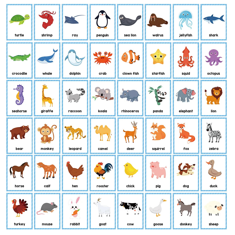 Kids Montessori English Words Learning Card Pocket Flashcards Early Educational Toys Classroom Supplies Teaching Aids - LearnPlay Labs