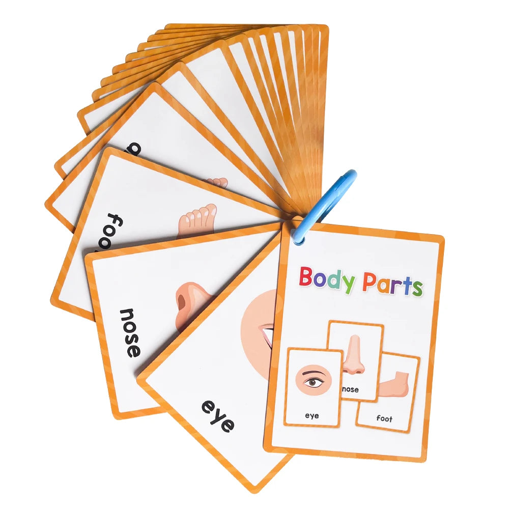 Kids Montessori English Words Learning Card Pocket Flashcards Early Educational Toys Classroom Supplies Teaching Aids
