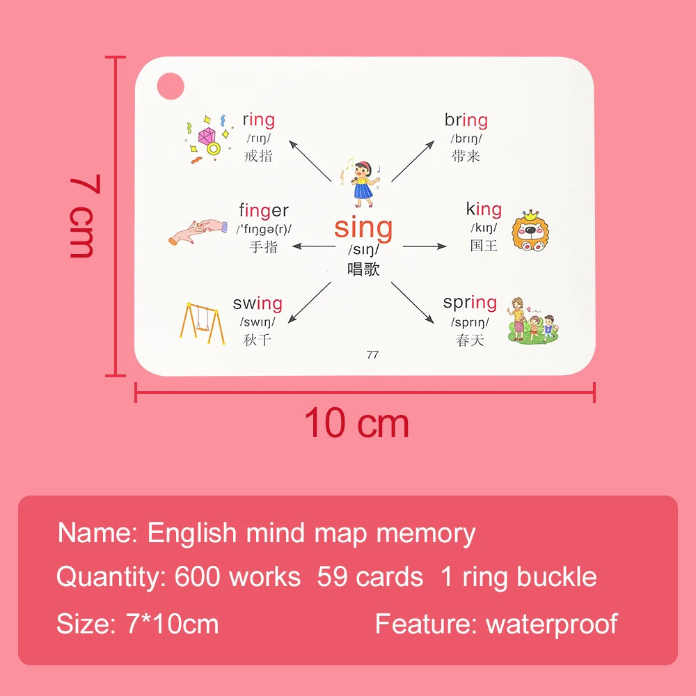 English Root Flashcards with Chinese Translate Affixes Vocabulary Mind Map Quick Memory Learning Cards for Primary School Aids - LearnPlay Labs