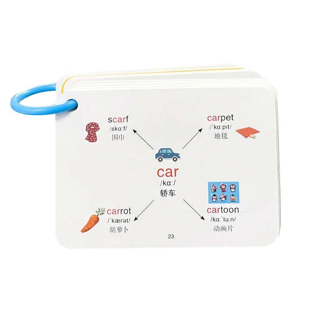 English Root Flashcards with Chinese Translate Affixes Vocabulary Mind Map Quick Memory Learning Cards for Primary School Aids - LearnPlay Labs
