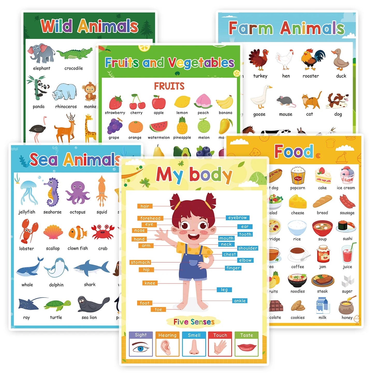 English Learning Poster Set Words Flashcards Educational Toys for Preschool Kids Classroom Decoration Teaching Aids Toys Gifts - LearnPlay Labs