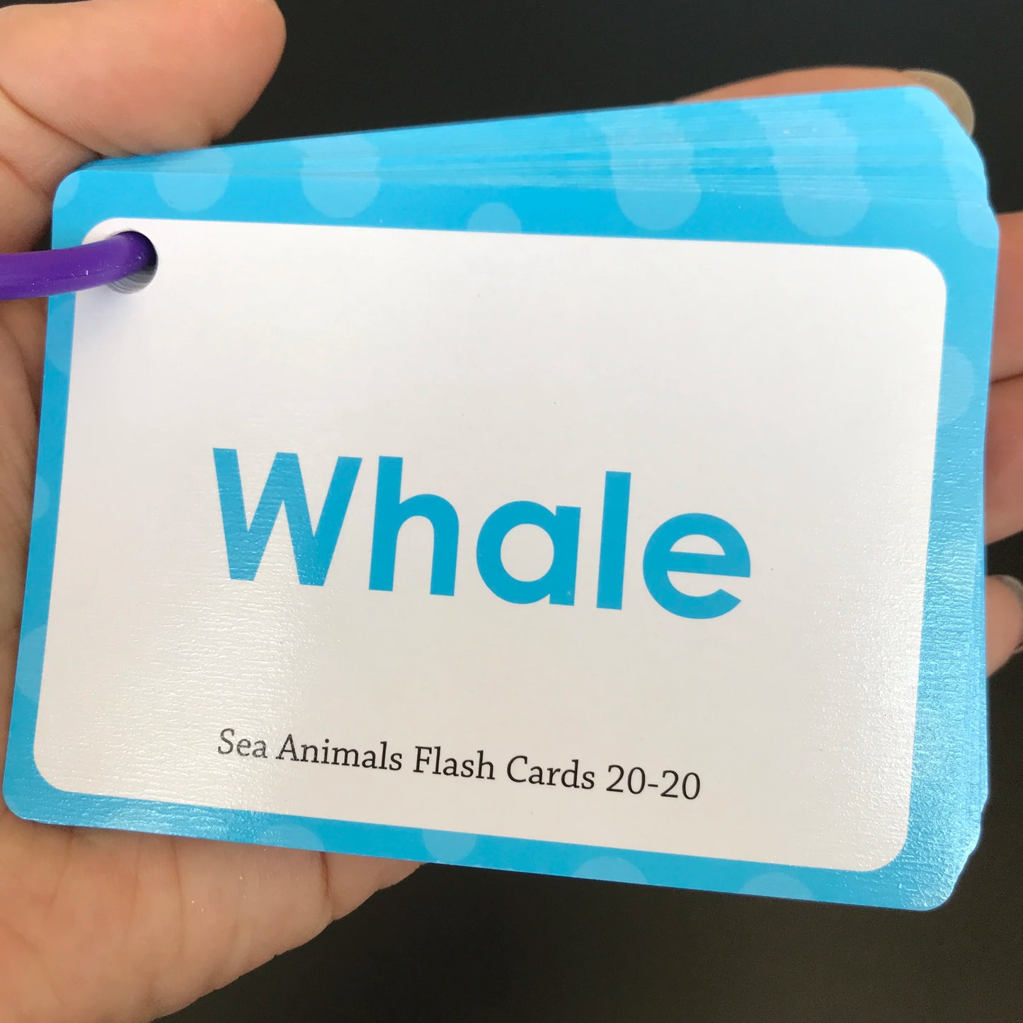 Learning Flashcards ABC Numbers Fruit Animal Body Educational Toys Classroom Aids Montessori Autism English Words Card for Kids - LearnPlay Labs