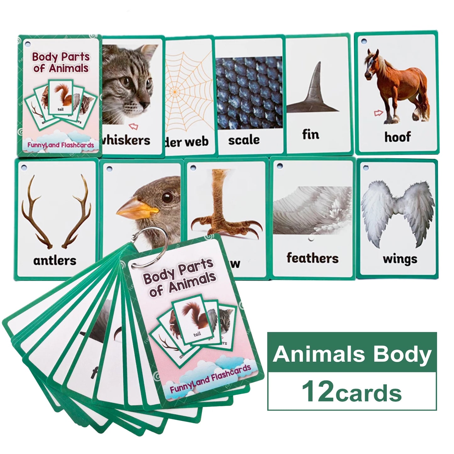 Kids Montessori Educativos Children Fun English Word FlashCards Baby Learning Educational English Card Table Game Puzzle CARDS - LearnPlay Labs