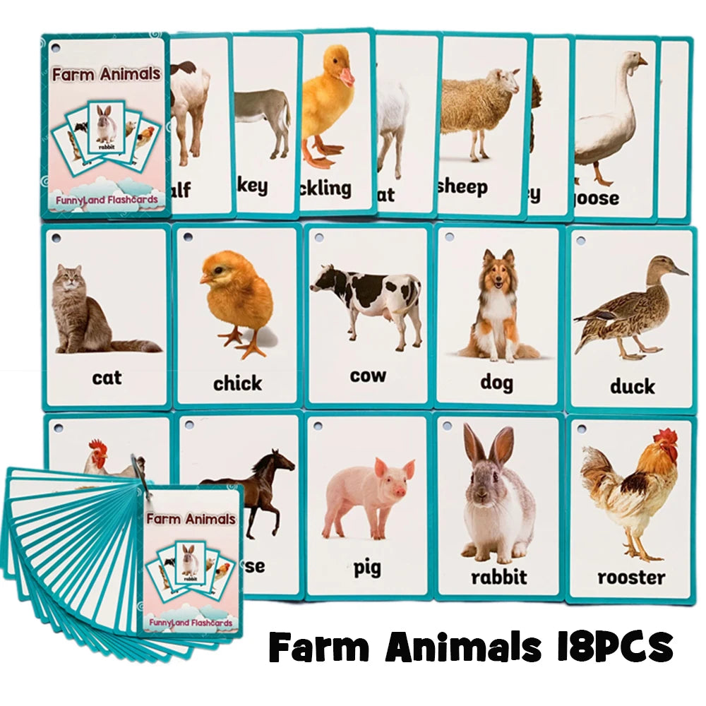 Body Parts Animal Cloth English Words Learing Flash Cards Educational Toys for Kids Early Educational Montessori Teaching Aids - LearnPlay Labs