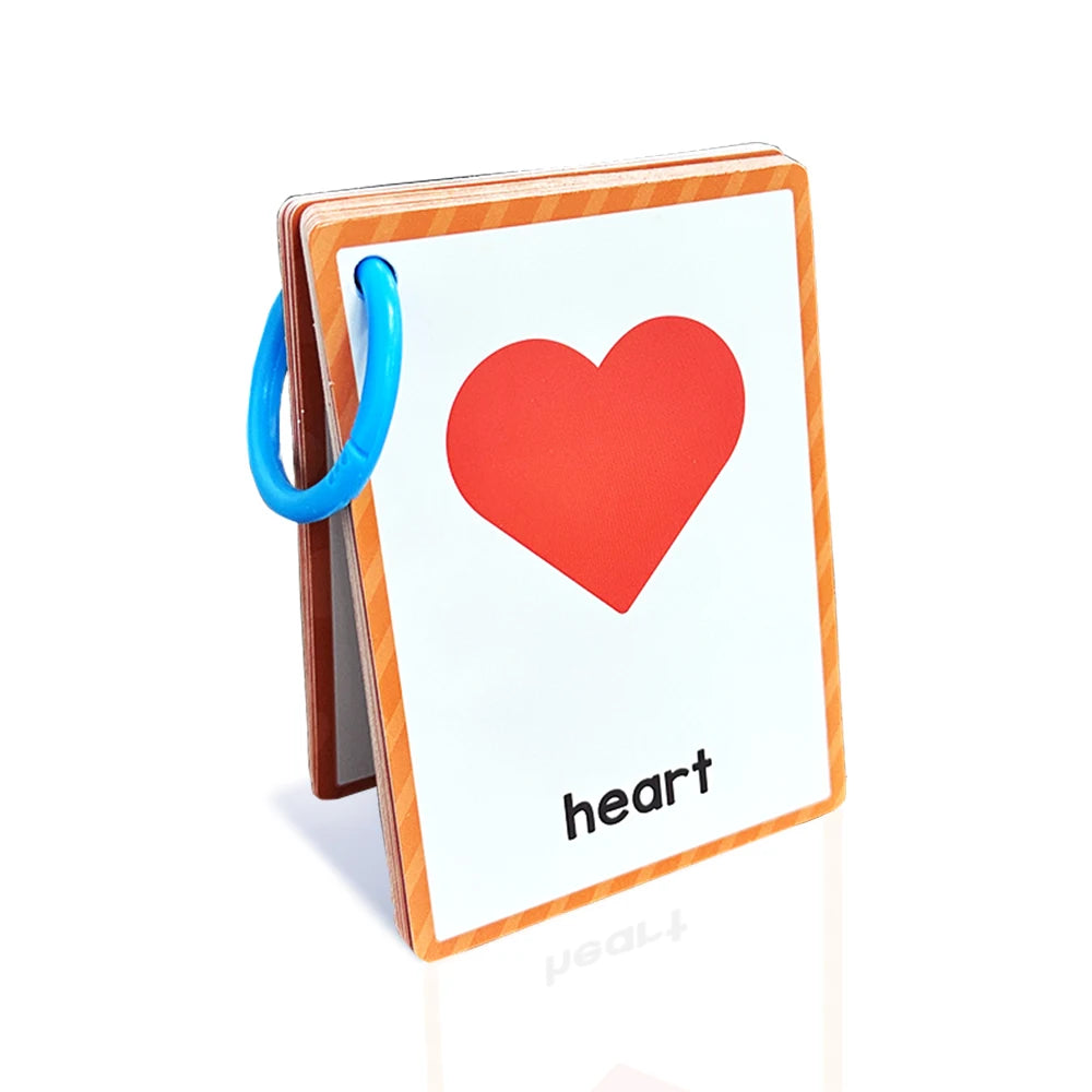 Kids Montessori English Words Learning Card Pocket Flashcards Early Educational Toys Classroom Supplies Teaching Aids