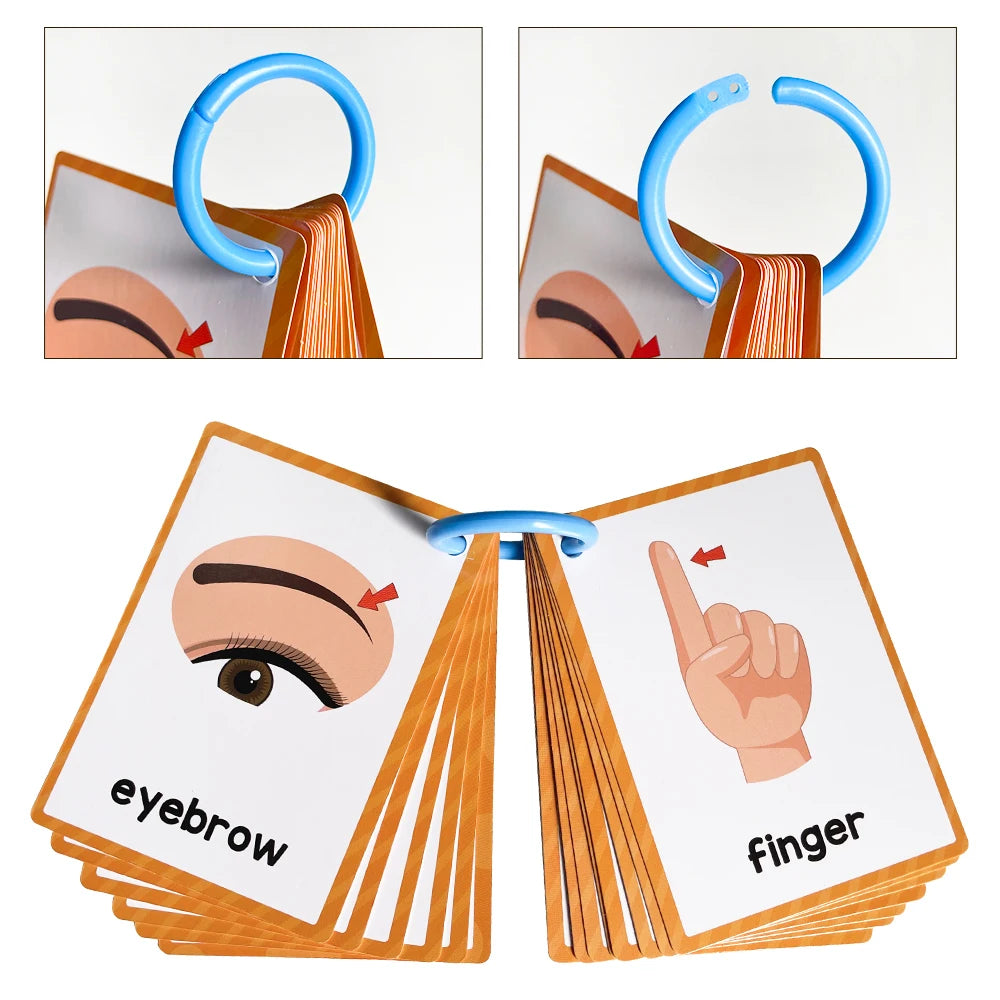 Kids Montessori English Words Learning Card Pocket Flashcards Early Educational Toys Classroom Supplies Teaching Aids - LearnPlay Labs