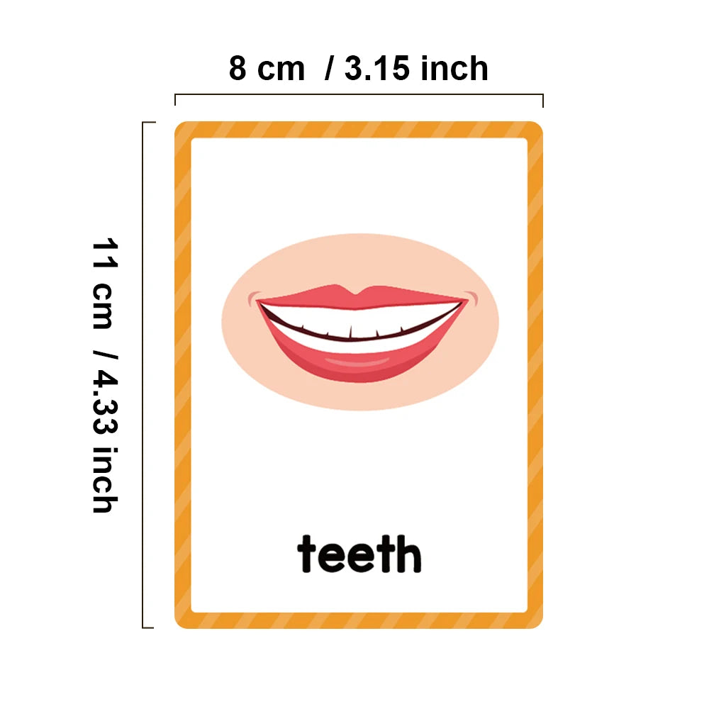 Kids Montessori English Words Learning Card Pocket Flashcards Early Educational Toys Classroom Supplies Teaching Aids - LearnPlay Labs