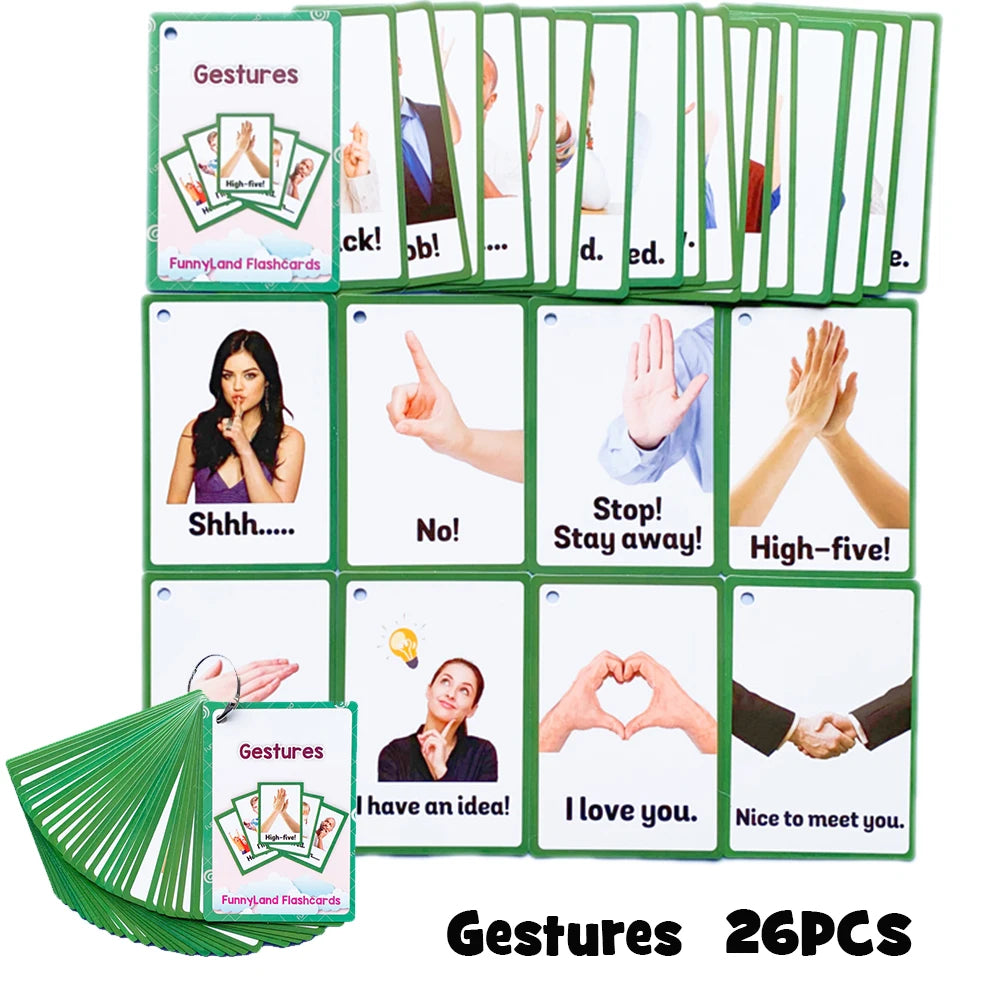 Body Parts Animal Cloth English Words Learing Flash Cards Educational Toys for Kids Early Educational Montessori Teaching Aids - LearnPlay Labs
