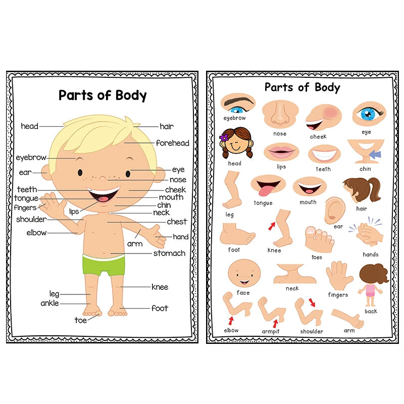 English Self-introduction Poster English Teaching Aids Classroom Decoration Educational Toys Learning Flashcard Montessori Toy - LearnPlay Labs