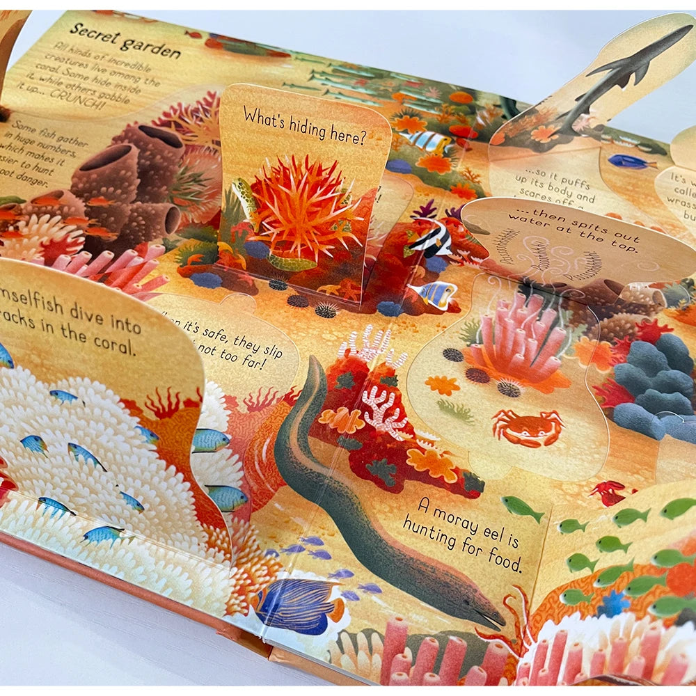 Usborne Books Look Inside English Cardboard Book for Kids Learning Toys Bedtime Reading Activity Gifts Montessori Materials