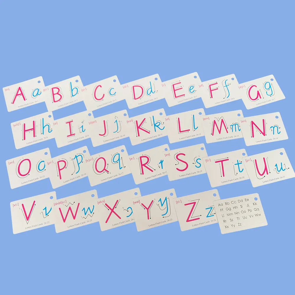 Learning Flashcards ABC Numbers Fruit Animal Body Educational Toys Classroom Aids Montessori Autism English Words Card for Kids - LearnPlay Labs