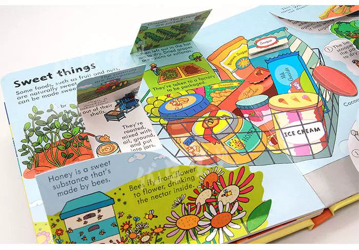 Usborne Books Look Inside English Cardboard Book for Kids Learning Toys Bedtime Reading Activity Gifts Montessori Materials