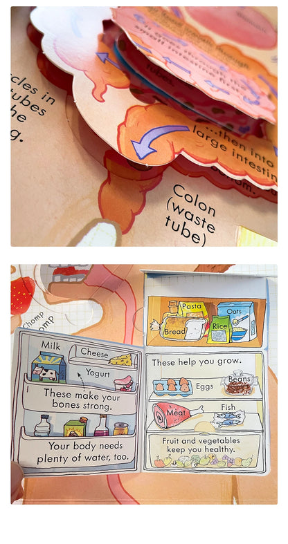 Usborne Books Look Inside English Cardboard Book for Kids Learning Toys Bedtime  Reading Activity Gifts Montessori Materials - LearnPlay Labs