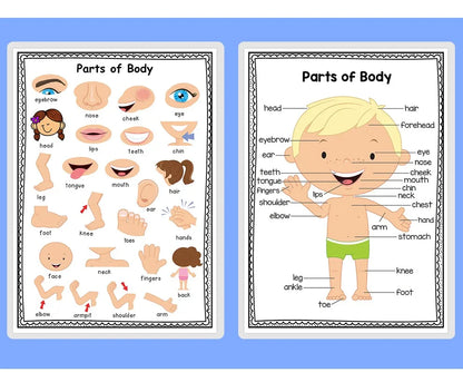 English Self-introduction Poster English Teaching Aids Classroom Decoration Educational Toys Learning Flashcard Montessori Toy - LearnPlay Labs