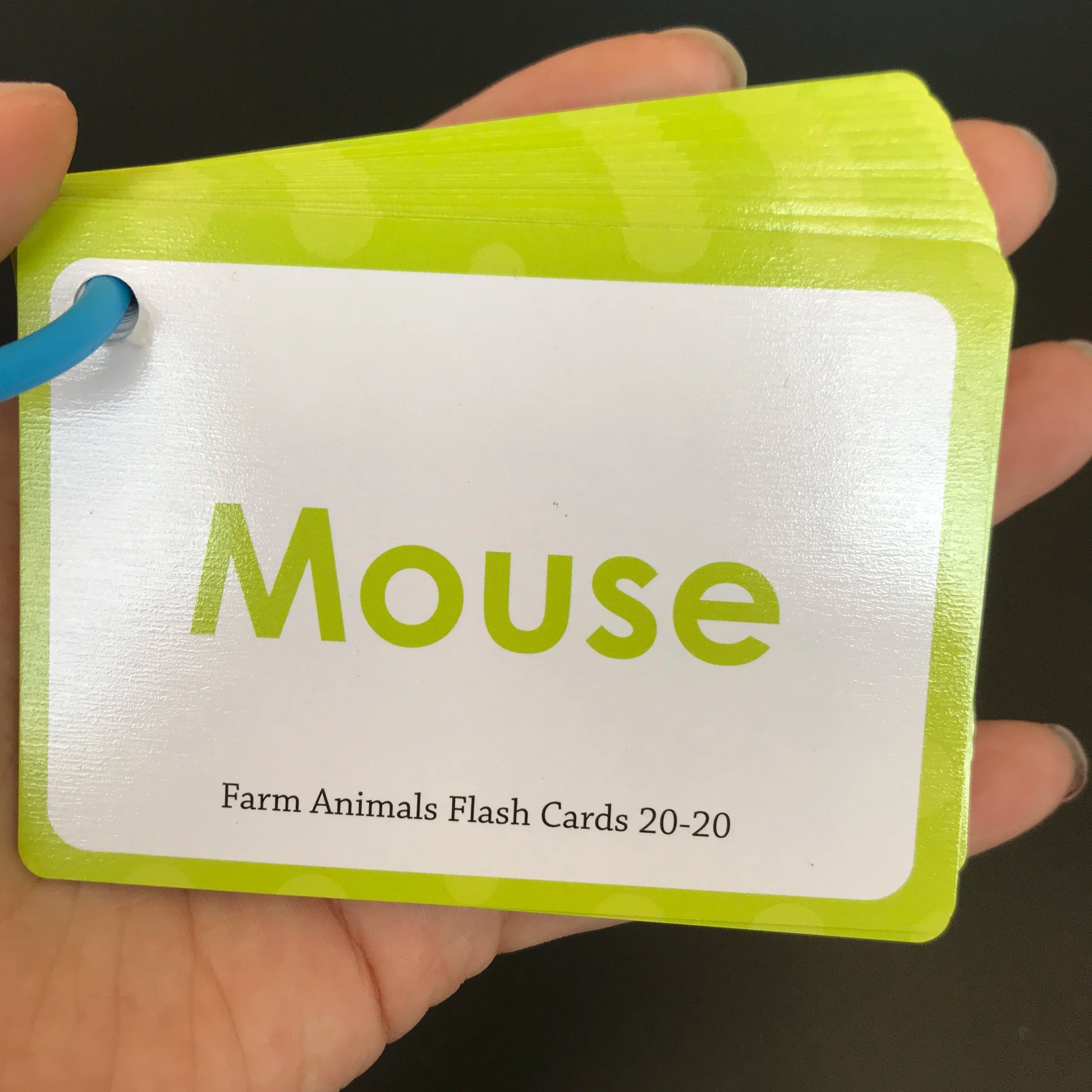 Learning Flashcards ABC Numbers Fruit Animal Body Educational Toys Classroom Aids Montessori Autism English Words Card for Kids - LearnPlay Labs