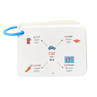 English Root Flashcards with Chinese Translate Affixes Vocabulary Mind Map Quick Memory Learning Cards for Primary School Aids - LearnPlay Labs