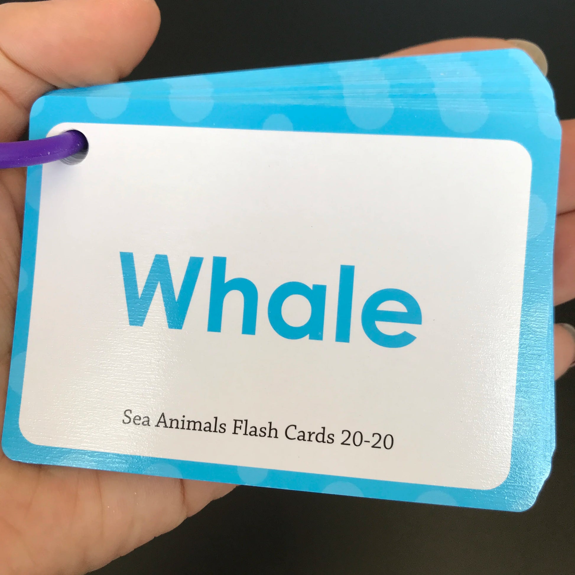 Learning Flashcards ABC Numbers Fruit Animal Body Educational Toys Classroom Aids Montessori Autism English Words Card for Kids - LearnPlay Labs