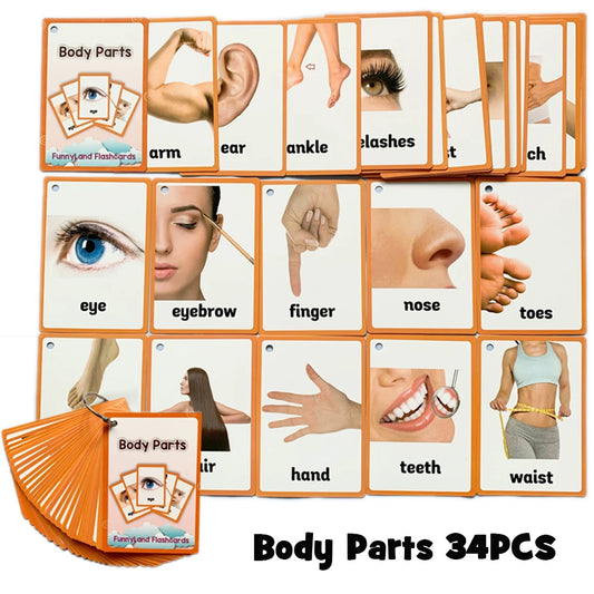Body Parts Animal Cloth English Words Learing Flash Cards Educational Toys for Kids Early Educational Montessori Teaching Aids - LearnPlay Labs