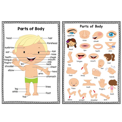 English Self-introduction Poster English Teaching Aids Classroom Decoration Educational Toys Learning Flashcard Montessori Toy - LearnPlay Labs