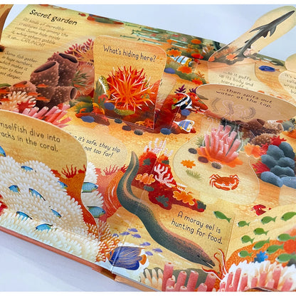 Usborne Books Look Inside English Cardboard Book for Kids Learning Toys Bedtime  Reading Activity Gifts Montessori Materials