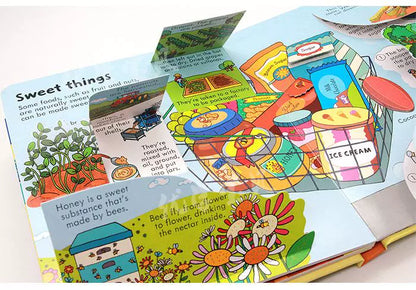 Usborne Books Look Inside English Cardboard Book for Kids Learning Toys Bedtime  Reading Activity Gifts Montessori Materials